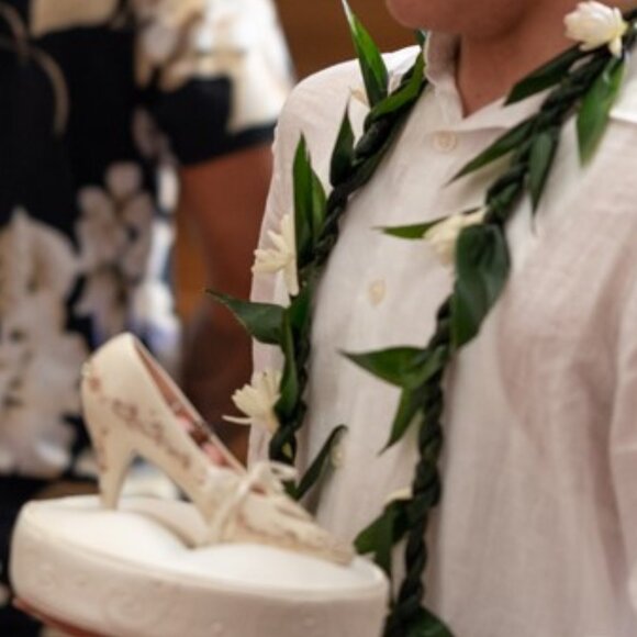 Disney Cinderella Wedding David Tutera Ring bearer Pillow - Picture 12 of 13